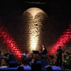 A Presença Das Formigas