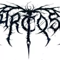 Arctos