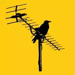 BirdPen