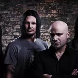 Disturbed