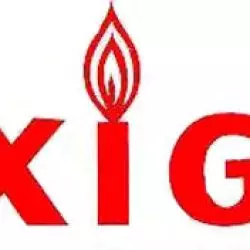 Dixigas