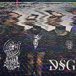 DSGNS