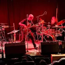 Fish Flesh Field And Henry Dollar