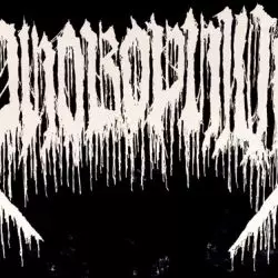 Phobophilic