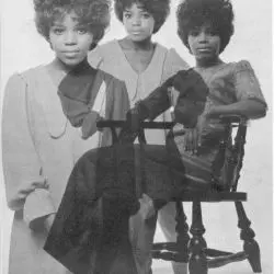 P.P. Arnold