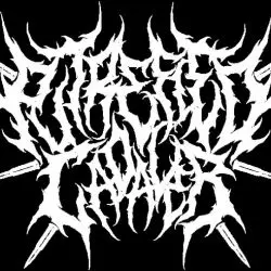 Putrefied Cadaver