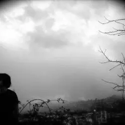 Rotting Sky