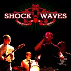 Shock Waves