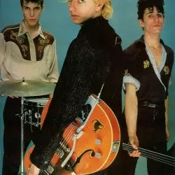 Stray Cats