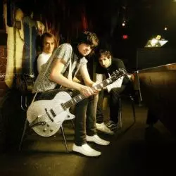 The Pink Spiders
