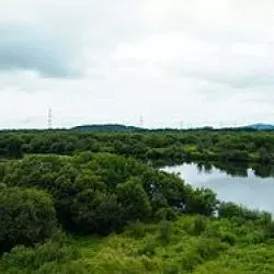 Vaka