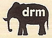 Damien Rice Music