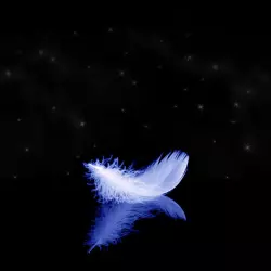 First Fallen Star