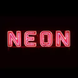 NEON (14)