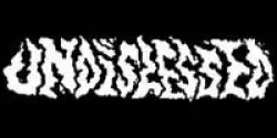 Undislessed Records