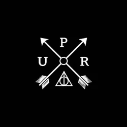 Unknown Pleasures Records