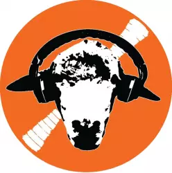 Wool-E Discs