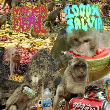 1000x Salvia: 1000XSALVIA / American Meal