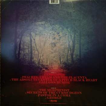 LP 16: Lifespan Of A Moth