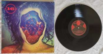 LP 16: Lifespan Of A Moth