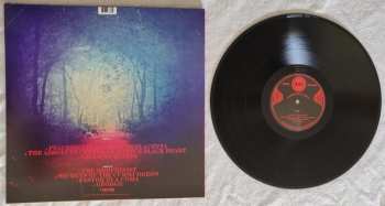 LP 16: Lifespan Of A Moth