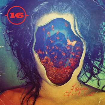 CD 16: Lifespan Of A Moth