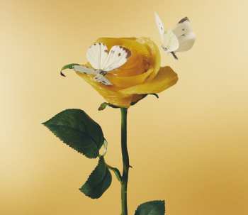 2CD Aimyon: おいしいパスタがあると聞いて LTD