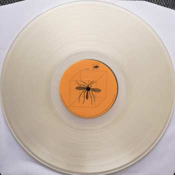 LP 2 Square Y?: The Secret Degree CLR