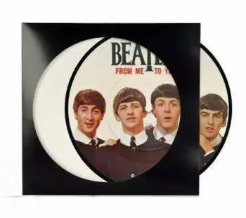 Audiotechnika Paper sleeve for Picture Disc