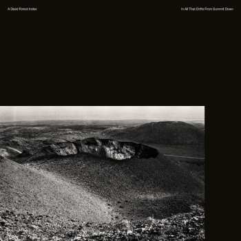Album A Dead Forest Index: In All That Drifts From Summit Down