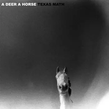 A Deer A Horse: Texas Math