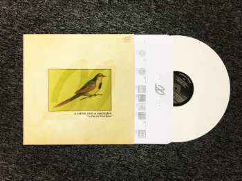 LP/CD A Hawk And A Hacksaw: The Way The Wind Blows CLR | LTD