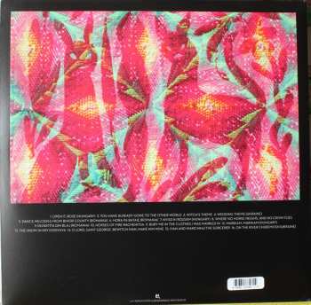 2LP A Hawk And A Hacksaw: You Have Already Gone To The Other World