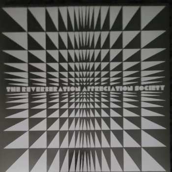 LP A Place To Bury Strangers: Live at Levitation
