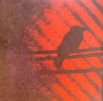 2EP A Silver Mt. Zion: Born Into Trouble As The Sparks Fly Upward.