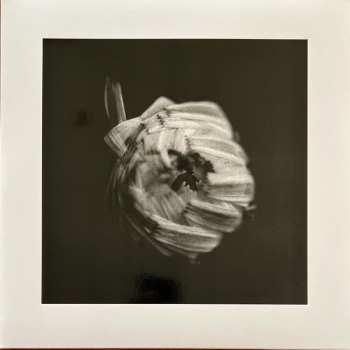 2LP A Swarm Of The Sun: An Empire CLR | LTD