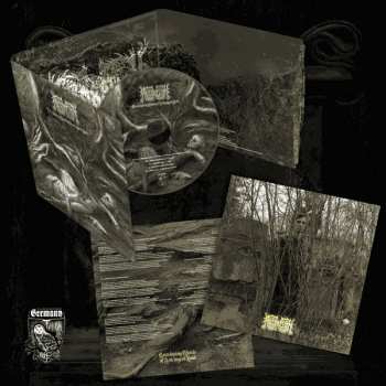 CD Absorption: Enveloping Womb of Astringent Void