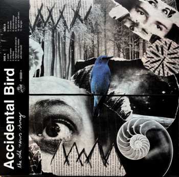 Album Accidental Bird: The Old News Shrug