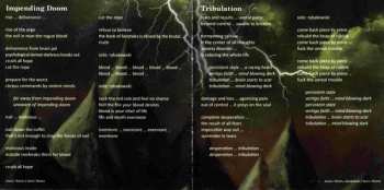 LP Accuser: The Forlorn Divide CLR | LTD | NUM