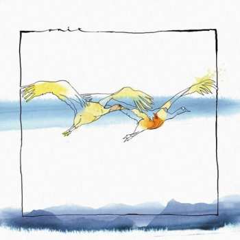 LP Acid Pauli / Stojan,nico: Vola