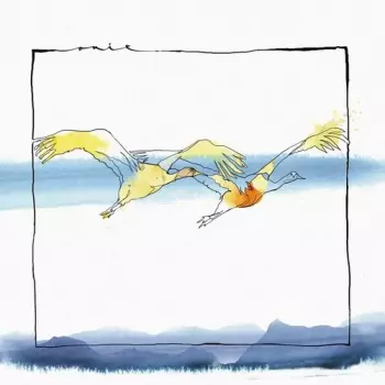 Acid Pauli / Stojan,nico: Vola