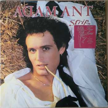 Album Adam Ant: Strip