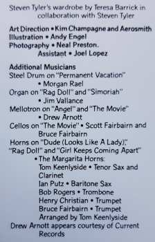 LP Aerosmith: Permanent Vacation LTD | CLR