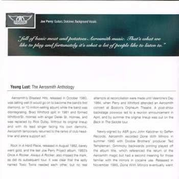 2CD Aerosmith: Young Lust: The Aerosmith Anthology