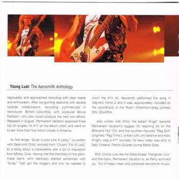 2CD Aerosmith: Young Lust: The Aerosmith Anthology