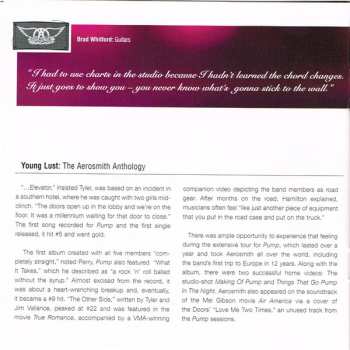 2CD Aerosmith: Young Lust: The Aerosmith Anthology