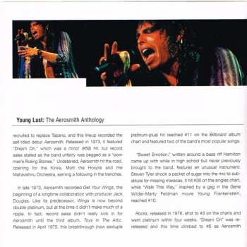 2CD Aerosmith: Young Lust: The Aerosmith Anthology