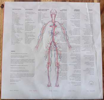 LP Agrio: El Amigo Americano 