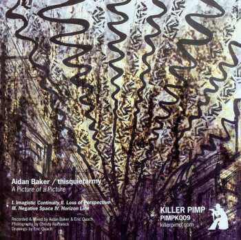 CD Thisquietarmy: A Picture Of A Picture PIC