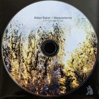 CD Thisquietarmy: A Picture Of A Picture PIC